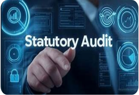 Statutory Audit